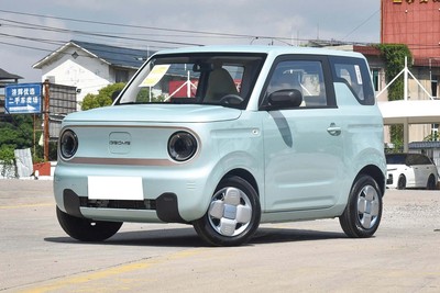 Geely Panda /Geme 120KM