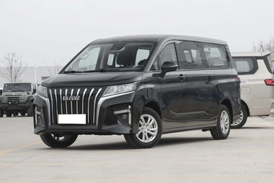 Ruisheng Wangpai EM7 9seats