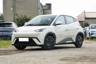 BYD Seagull 2024