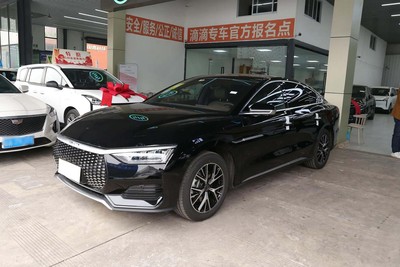 BYD e9