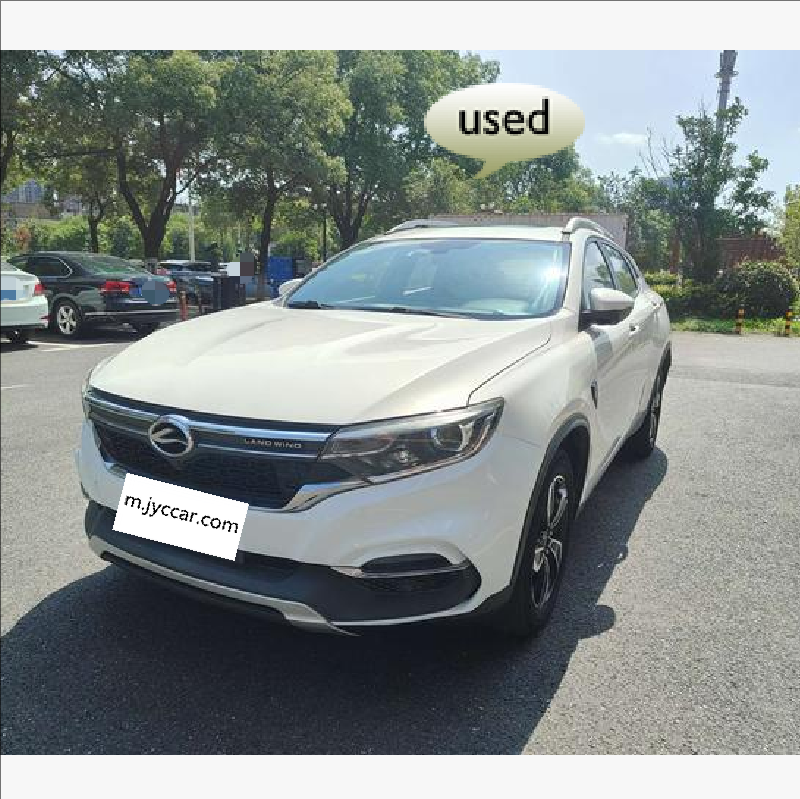 Land Wind Xiaoyao 2018