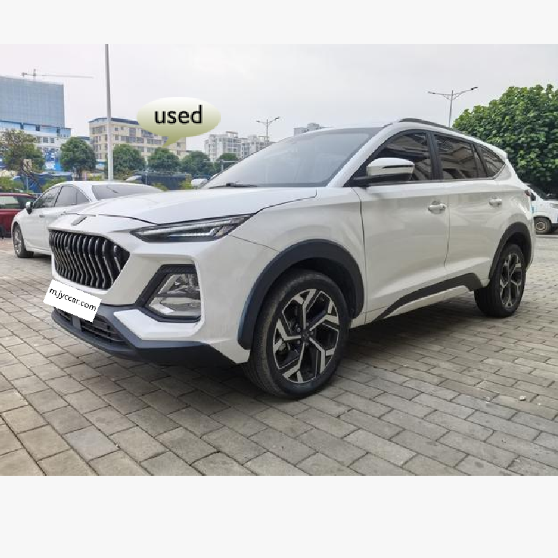 JAC Group SOL X8 2021