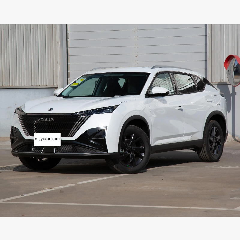 DFM Aeolus Haohan 2024-2025