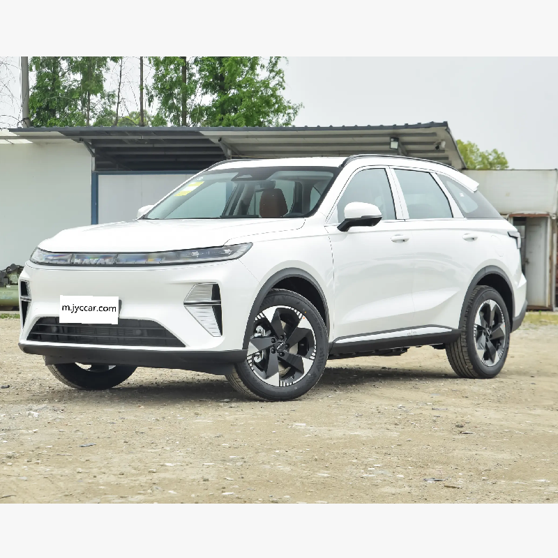 GWM Haval Ora Land MAX /Xiaolong 2025